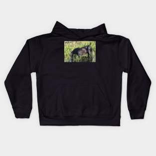 Wild Horse Kids Hoodie